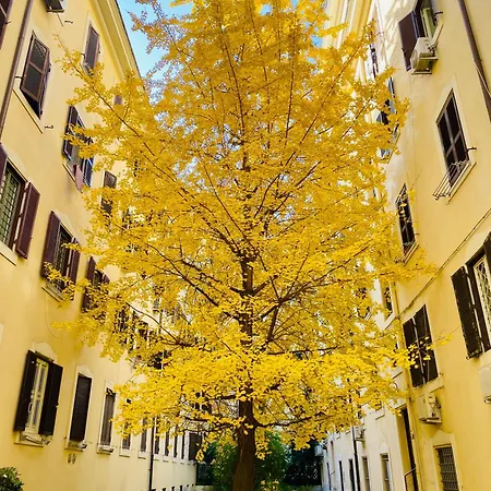Il Cortile Del 900-2